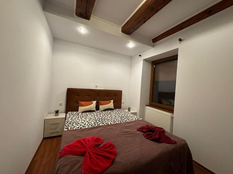Iazi Apartament Braşov Exterior foto